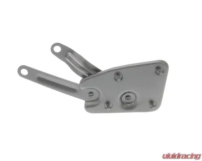 AMD LH Hood Hinge w/ Spring Ford F-Series Pickup Truck 1956 - X310-4556-L