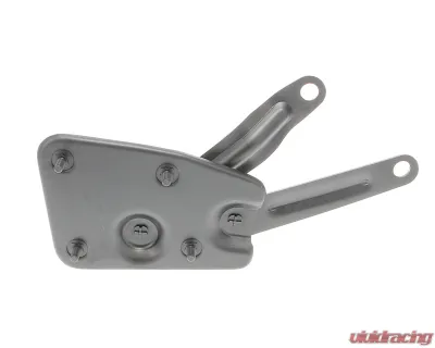 AMD RH Hood Hinge w/ Spring Ford F-Series Pickup Truck 1956 - X310-4556-R