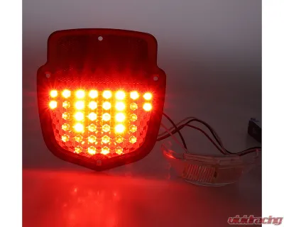 AMD LH 38 Red LED Tail Light Lens w/ 12 White License Lamp LED Ford F-Series Flareside Truck 1955-1966 - X951-4555-1DNL