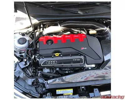 VTT Engine Side Catch Can Audi RS3 8V 2015-2022 - VTT-EBM-STG2-1-Mustang