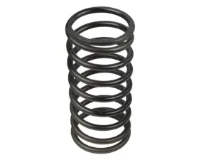 VTT Black Tial BOV Spring