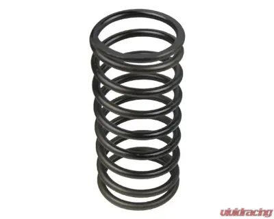 VTT Black Tial BOV Spring - VTT-TIAL-BLACK