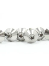 VTT Titanium Valve Cover Hardware Upgrade                                     - VTT-TI-BOLTS-2-NATURAL - Image 4