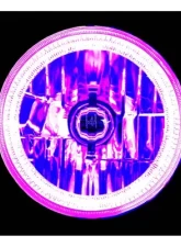 Octane Lighting 7 Inch Purple COB LED Halo Angel Eye 6k Headlamp Headlight Halogen Light Bulb Pair                                     - OL-035-PU - Image 3