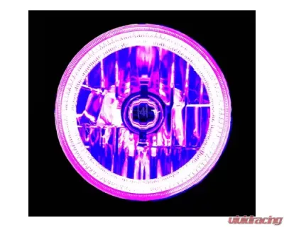 Octane Lighting 7 Inch Purple COB LED Halo Angel Eye 6k Headlamp Headlight Halogen Light Bulb Pair - OL-035-PU