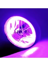 Octane Lighting 7 Inch Purple COB LED Halo Angel Eye 6k Headlamp Headlight Halogen Light Bulb Pair                                     - OL-035-PU - Image 6