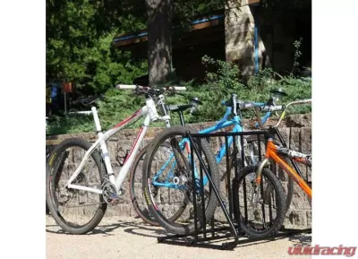 Saris Mighty Mite - 6210