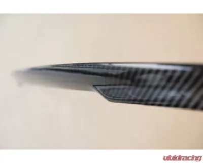 EZ Carbon Performance Dry Carbon Spoiler 3-Series F30 | M5 F80 - F30PXXDRYSPO005