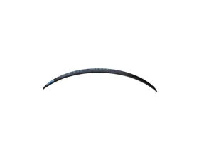 EZ Carbon Dry Carbon Spoiler Tesla Model 3
