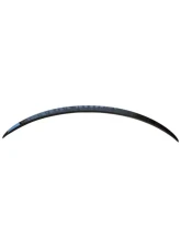 EZ Carbon Dry Carbon Spoiler Tesla Model 3                                     - TM3AXXDRYSPO022 - Image 6