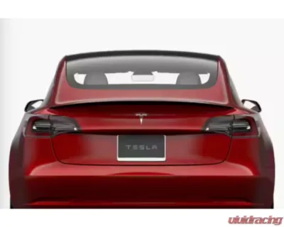 EZ Carbon Dry Carbon Spoiler Tesla Model 3 - TM3AXXDRYSPO022