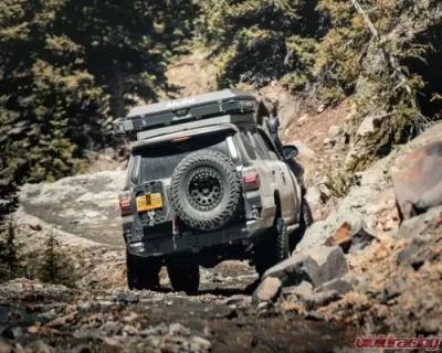 Backwoods Adventure Mods Hi-Lite High Clearance Dual Swing Out Rear Bumper Toyota 4Runner 2014-2022 - BWT4R5-209155B