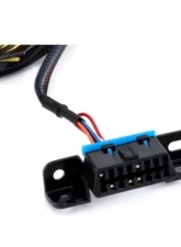 Hybrid Racing Universal K-Series Swap Conversion Wiring Harness                                     - HYB-CWH-01-99 - Image 4