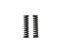 Hybrid Racing Heavy-Duty Detent Springs Black (Pack Of 2)