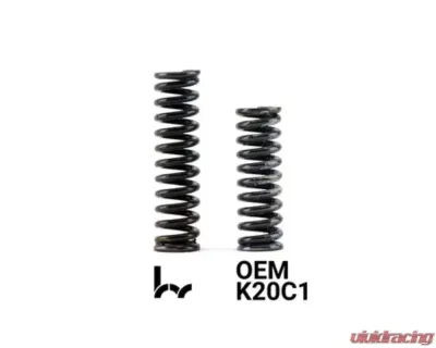 Hybrid Racing Heavy-Duty Detent Springs Black (Pack Of 2) - HYB-DTS-01-06