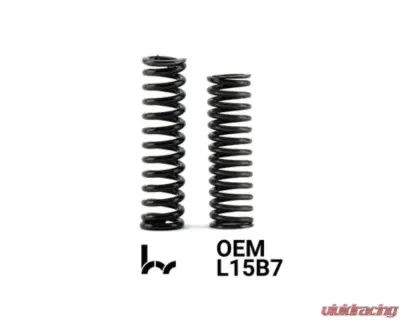 Hybrid Racing Heavy-Duty Detent Springs Black (Pack Of 2) - HYB-DTS-01-06