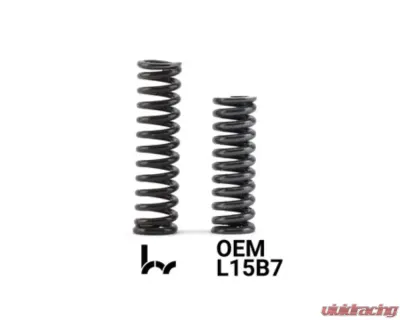 Hybrid Racing Heavy-Duty Detent Springs Black (Pack Of 2) - HYB-DTS-01-06