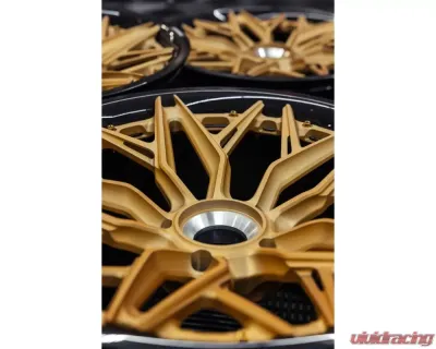MV Forged Dymag Collection MR-250 Wheel 18-23 - MV-MR-250-DYMAG