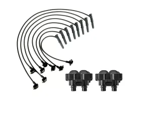 Aceon Set of 2 Ignition Coil with Wire Set Ford | Lincoln | Mercury 1996-1991