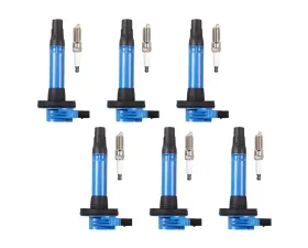 Aceon Set of 6 Blue Ignition Coil with Spark Plug Ford | Lincoln | Mazda | Mercury 2007-2014