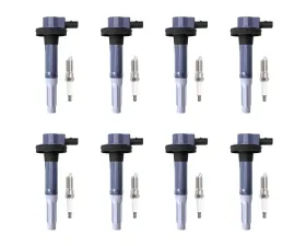 Aceon Set of 8 Ignition Coil with Spark Plug Ford F-150 | Mustang 2011-2016