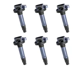 Aceon Set of 6 Ignition Coil Ford | Lincoln 2016-2020