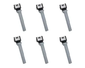 Aceon Set of 6 Ignition Coil Ford | Lincoln 2015-2020