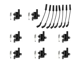 Aceon Set of 8 Ignition Coil with Spark Plug & Wire Set Buick | Cadillac | Chevrolet | GMC | Hummer 1999-2007