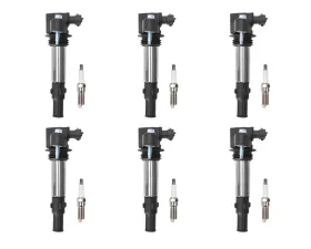 Aceon Set of 6 Ignition Coil with Spark Plug Buick | Cadillac | Chevrolet | GMC | Saturn 2004-2009