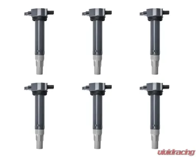 Aceon Set of 6 Ignition Coil Chrysler | Dodge | Volkswagen 2006-2011 - 7805-1356-06