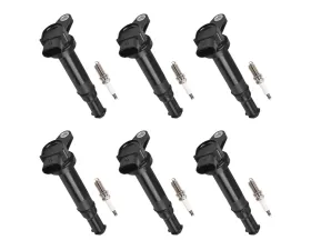 Aceon Set of 6 Ignition Coil with Spark Plug Hyundai Santa Fe | Kia Optima 2.7L V6 2006-2009
