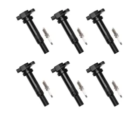Aceon Set of 6 Ignition Coil with Spark Plug Hyundai Santa Fe | Kia Magentis | Optima | Rondo 2.7L 2006-2011