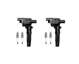 Aceon Set of 2 Ignition Coil with Spark Plug Hyundai Santa Fe | Sonata | Kia Magentis | Optima 2.4L 4Cyl 1999-2006
