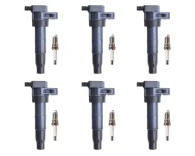 Aceon Set of 6 Ignition Coil with Spark Plug Hyundai | Kia 2006-2019
