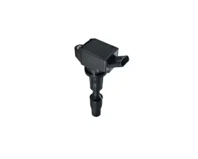 Aceon Ignition Coil Genesis | Hyundai | Kia 2015-2020
