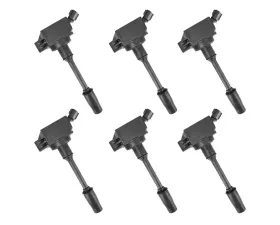 Aceon Set of 6 Ignition Coil Lexus | Toyota 2018-2021