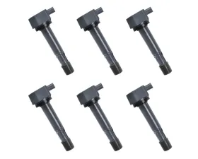 Aceon Set of 6 Ignition Coil Acura | Honda 2009-2015