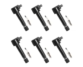 Aceon Set of 6 Ignition Coil with Spark Plug Acura | Honda 2008-2017