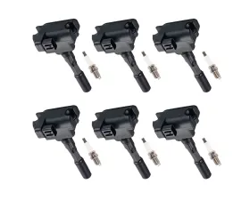 Aceon Set of 6 Ignition Coil with Spark Plug Acura Legend 3.2L V6 | NSX 3.0L V6 1991-1995