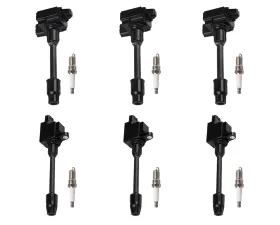 Aceon Set of 6 Ignition Coil with Spark Plug Infiniti I30 | Nissan Maxima 3.0 V6 2000-2001