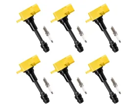 Aceon Set of 6 Yellow Heavy Duty Ignition Coil with Spark Plug Infiniti | Nissan | Suzuki 2001-2020