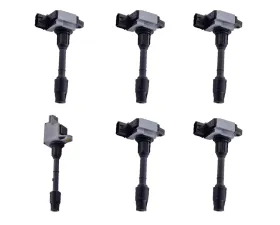 Aceon Set of 6 Ignition Coil Infiniti QX4 | Nissan Pathfinder 3.3L & 3.5L V6 2000-2001