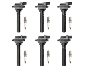 Aceon Set of 6 Ignition Coil with Spark Plug Chevrolet | Suzuki 1998-2007