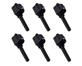 Aceon Set of 6 Ignition Coil Chevrolet Epica | Suzuki Verona 2.5L L6 2004-2006