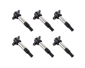 Aceon Set of 6 Ignition Coil Suzuki Verona Base & Luxury 2.5L L6 2006