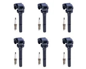 Aceon Set of 6 Ignition Coil with Spark Plug Acura | Honda | Isuzu 3.2L V6 1996-1997