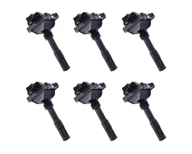 Aceon Set of 6 Ignition Coil Alfa Romeo 164 V6 3.0L 1993-1995
