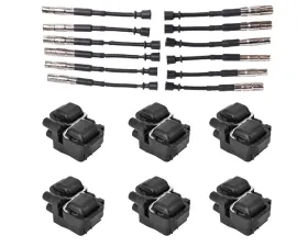 Aceon Set of 6 Ignition Coil with Wire Set Chrysler | Mercedes-Benz 1997-2011