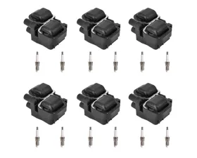 Aceon Set of 6 Ignition Coil with Spark Plug Chrysler | Mercedes-Benz 1997-2011