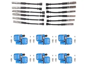 Aceon Set of 6 Blue Performance Plus Ignition Coil with Wire Set & Spark Plug Chrysler | Mercedes-Benz 1997-2011